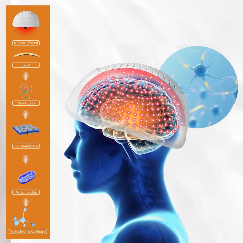 810nm 1070nm Brain Photobiomodulation Helmet for Brain Health 448 Diodes Treatment Wellness Helmet