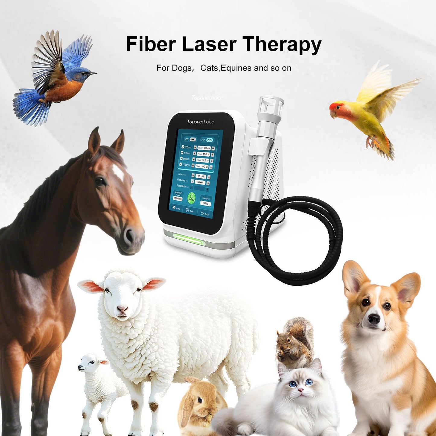 SupraCure Vet 30W Tri Class 4 Laser for Veterinary Dogs Horses Equines -1