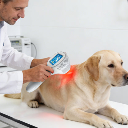 Toponechoice Class 4 Laser Smart 15W 12W 1064nm 980nm 810nm for Human and Pets