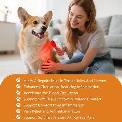 Handheld Laser Pain Treatment Device 880mW 650nm 880nm Red Light for Humans Pets Pain Relief