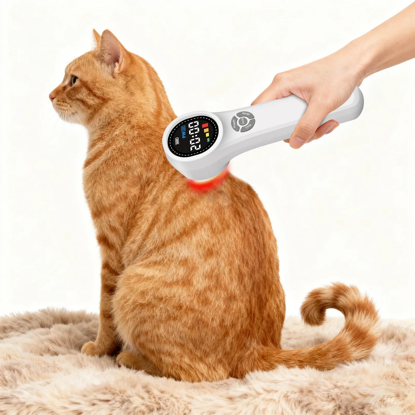 Toponechoice Cold Laser Therapy Device HHL02: 1760mW 980nm 808nm 650nm GaAlAs Class 3B Laser for Dogs, Horses, and People - Advanced Low-Level Laser (LLLT) for Pain Relief