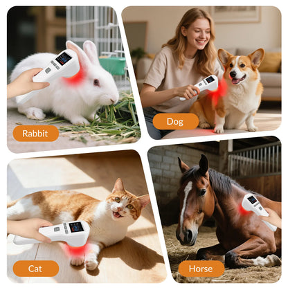 Handheld Laser Pain Treatment Device 880mW 650nm 880nm Red Light for Humans Pets Pain Relief